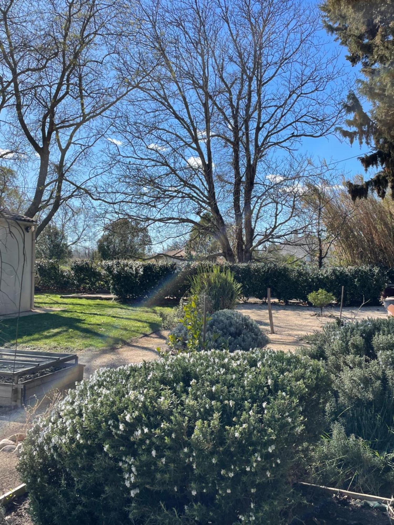 לינה וארוחת בוקר Arles Campagne Location "La Campagn'Arles" מראה חיצוני תמונה